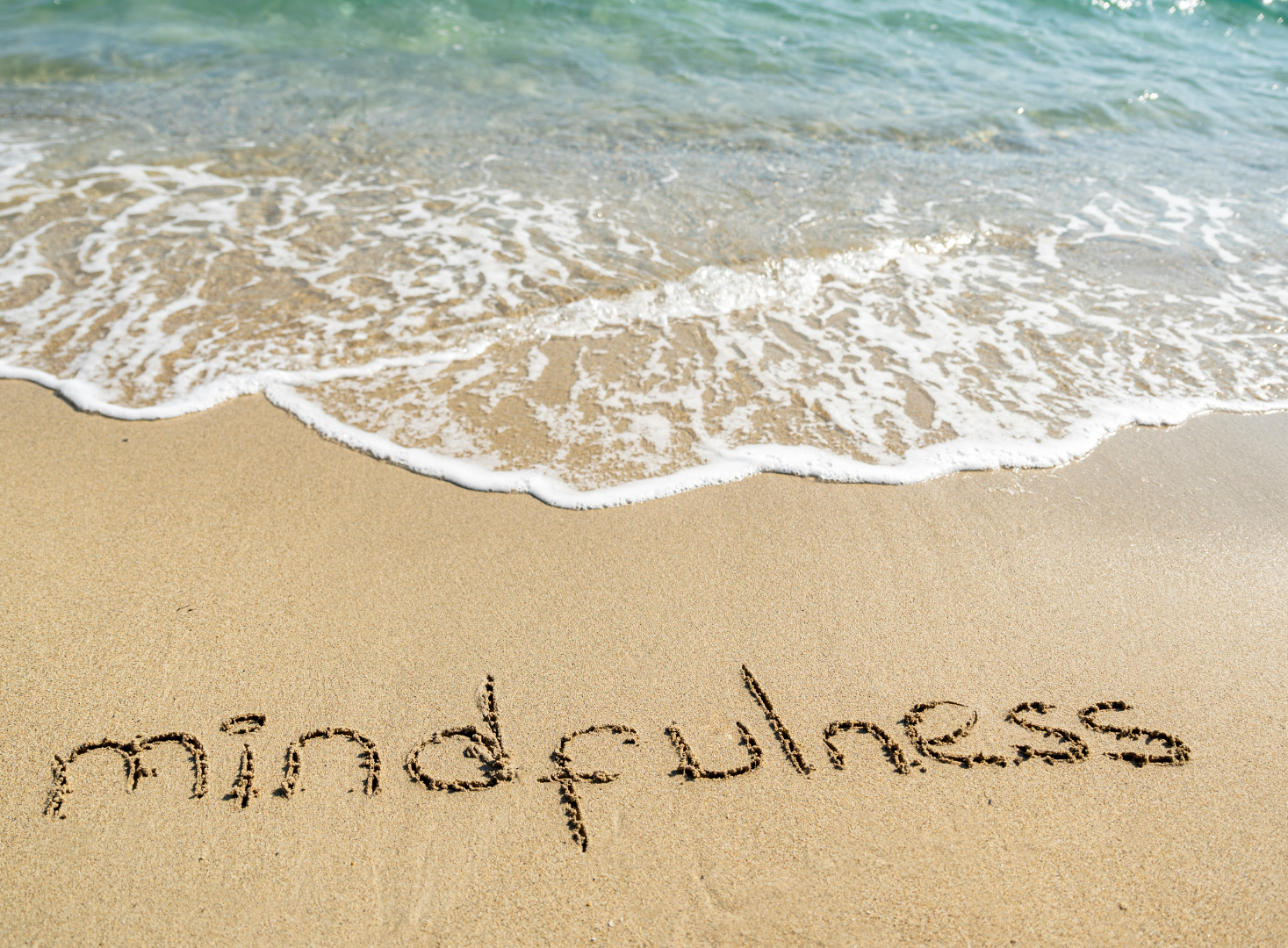 PHマインドフルネス研究チーム